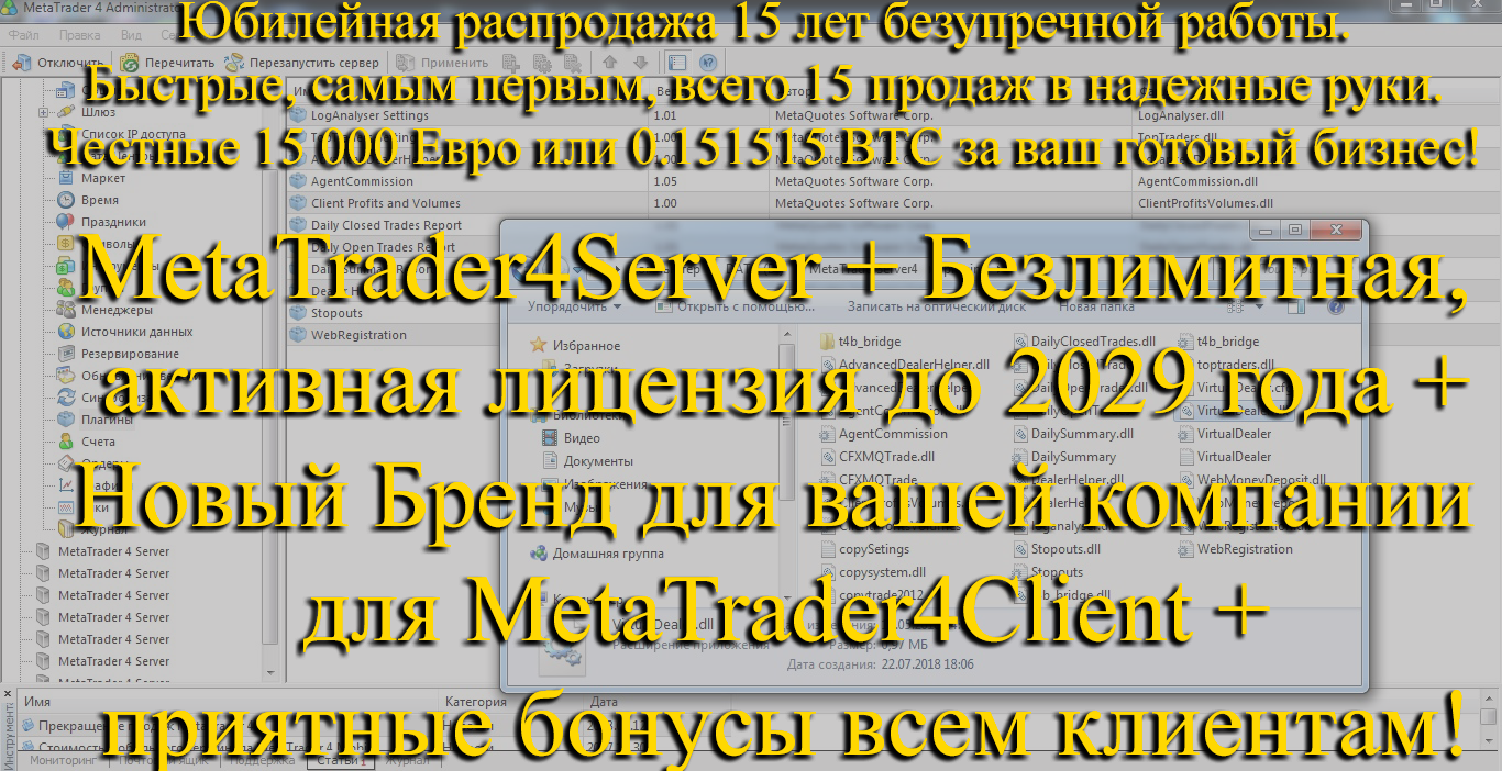 Buy a turnkey Forex Brokerage Company
